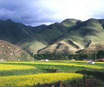 ������ɽ