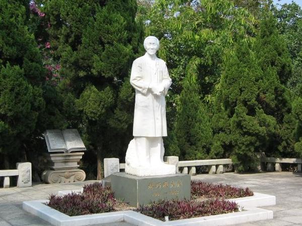 �����ɼ����