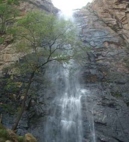 �������ٲ�