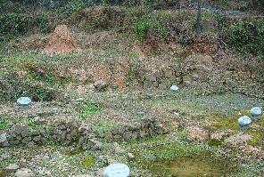 ����������ҤҤַ