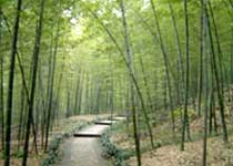 ��ɽ�羰��