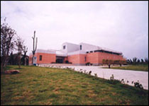 ɳ��亸�����ͳ������