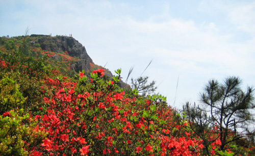 �����ƶ�ɽ