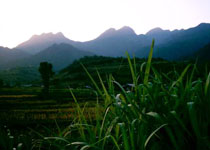 ��ɽ˯����