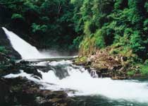 ����ɽ��Ȼ������