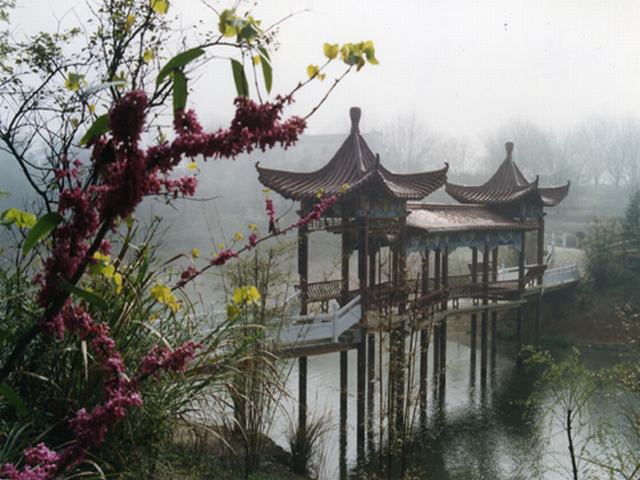 �ܶ����ɾ�