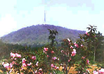 ��ɽ����