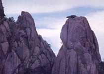 �������춼