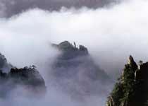 ���˲ȸ���