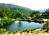 ����������