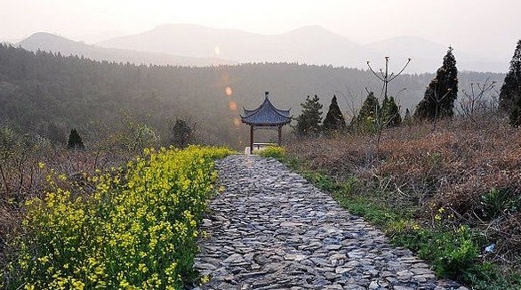 �˹�ɽɭ�ֹ�԰