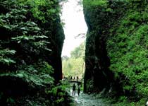 ���ط羰��