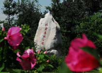 ��������ɭ�ֹ�԰