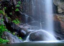 ǧ��������