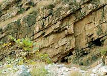 �С���Ԫ�Ž���Ҽ���Ȼ������