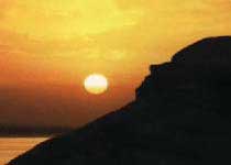 ���ֻƺ�ĸ�׾���