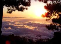 ��ç��羰��