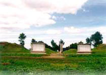 ��������Ͼ���������ַ