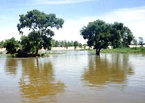 ���µ��羰��