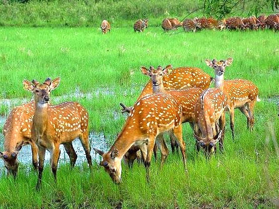 ����ɽ�����Գ�