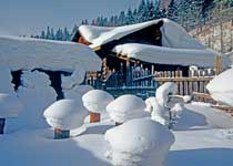 ѩ�磨ѩ����