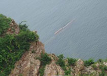 ��ǽ����