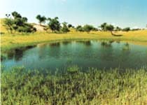 ʯ��ʱ����ַ