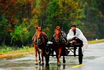 ������ȼٴ�