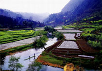 �۽��߷�ɭ�ֹ�԰