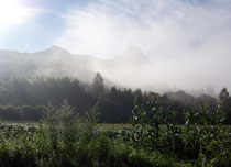 ñ��ɽ����ɭ�ֹ�԰