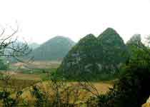 ���ݴ��š���ά�۹�ũҵ������