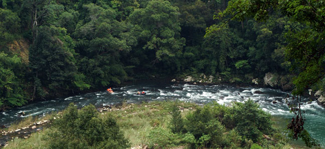 ����̶Ư��