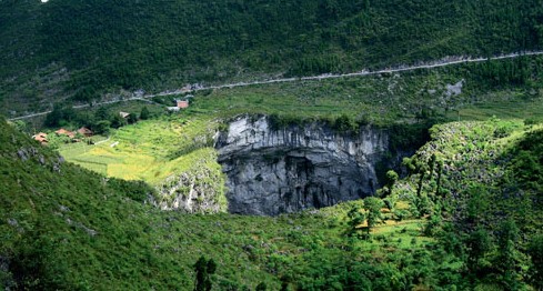 �ƪS����ӹ���ɭ�ֹ�԰