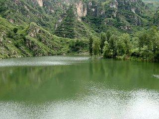 ��Ȫɭ�ֹ�԰