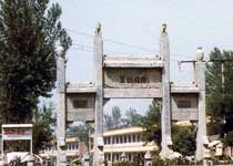 ������Ĺ