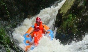 ������Ư��