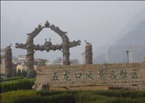 �����ڷ羰��