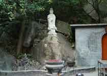 �����¾���