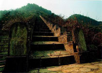 ��������ַ