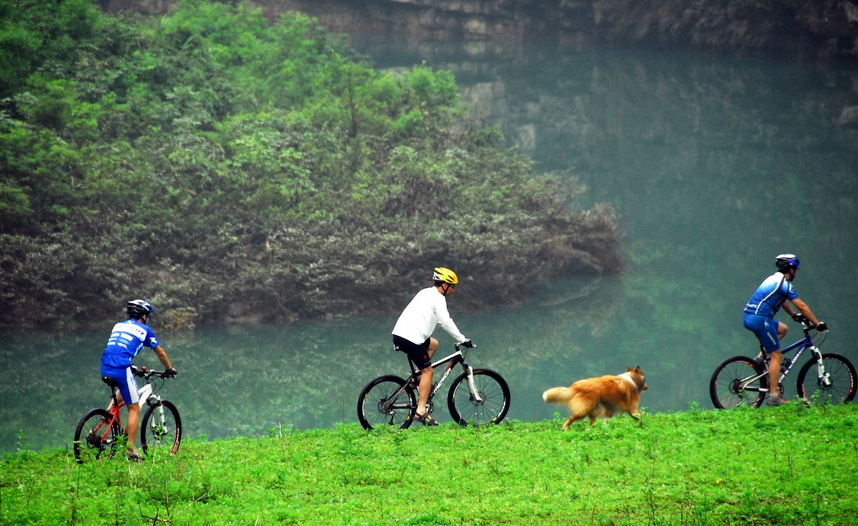 ��������ˮԭʼɭ��