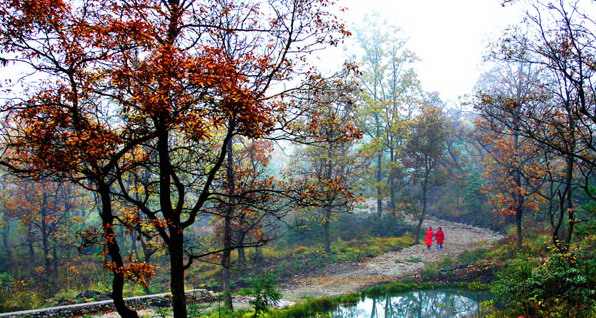 ����ɭ�ֹ�԰