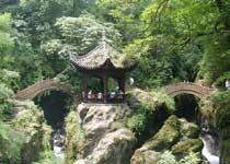 ˫������