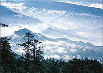 �ܷ�����