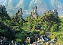 ʯ������