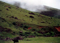 ���ߴ�綥��Ȼ������