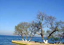 ���Ǿ���