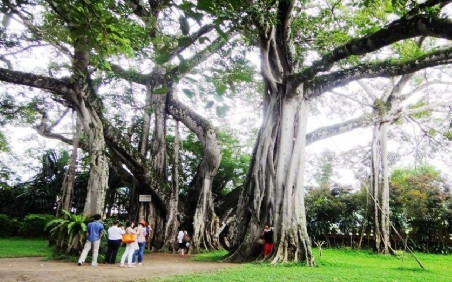 �й����������������֣�