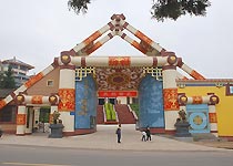 �����ݲ����