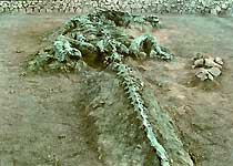 »�������ʯ��ַ