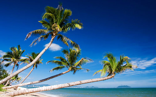 ����Ҭ��